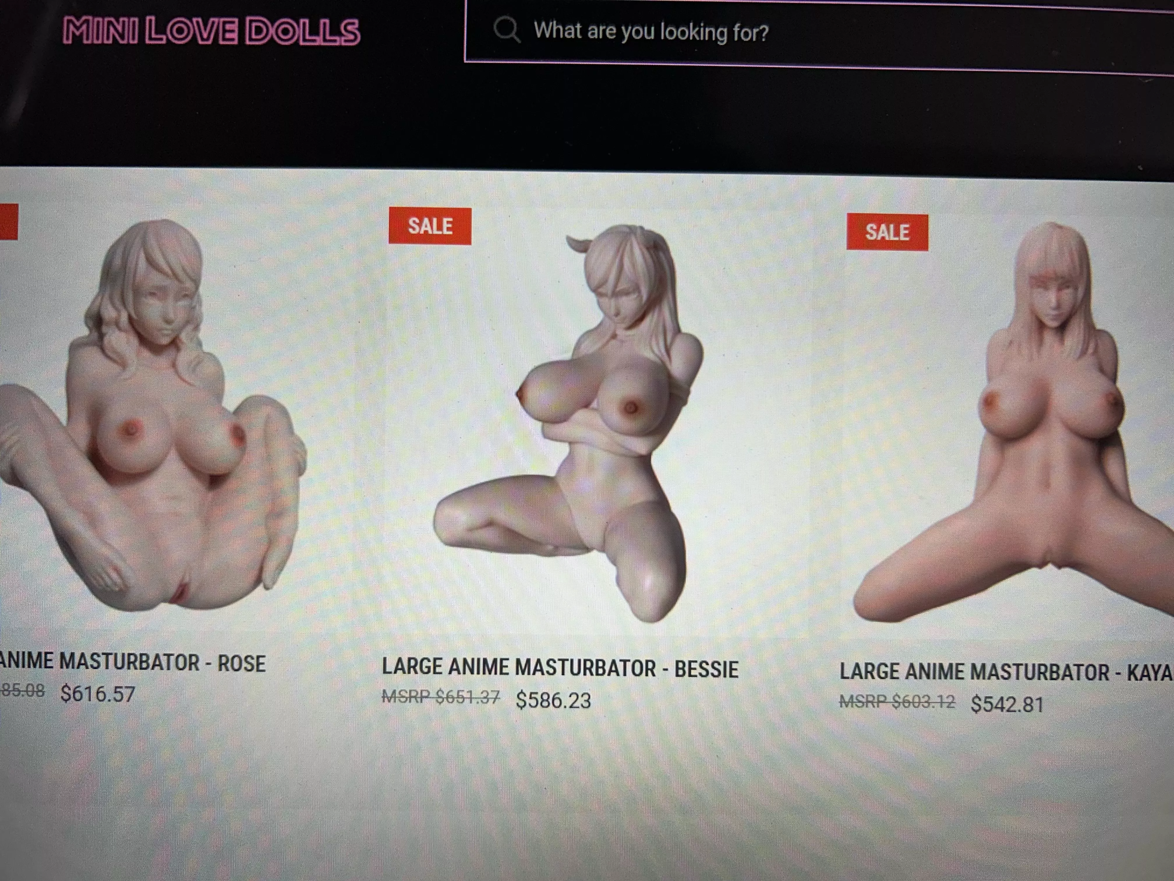 Looking for anime style masturbators or mini sex dolls. Any legit/reputable websites you recommend?