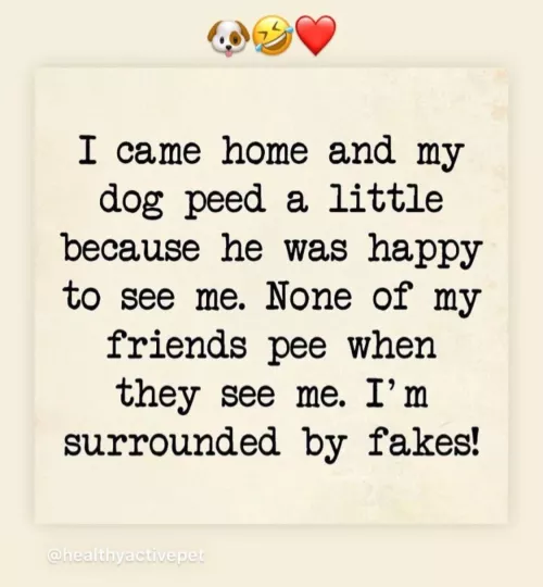 Peeing when you see a friend.