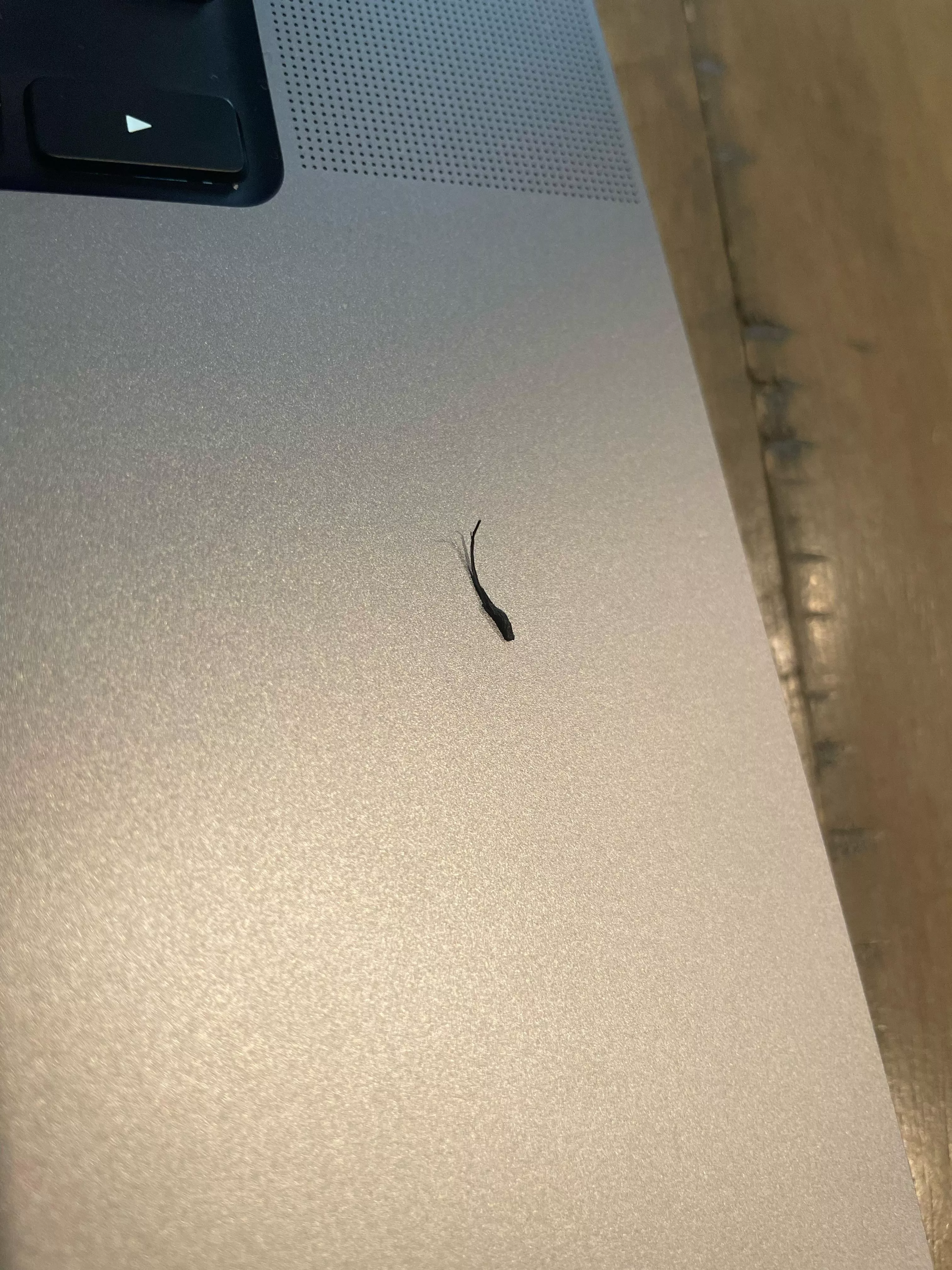 Pulled this bad boy off my beard this morning.