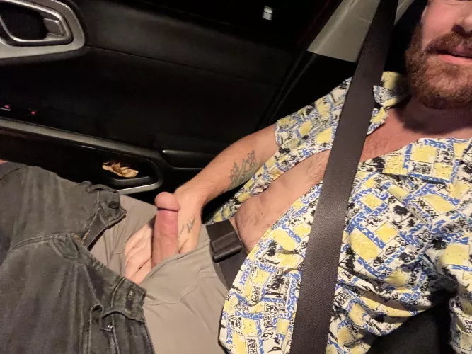 Quick boner in the car. Road head?