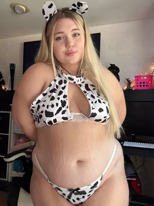 Should I get Wendy’s or McDonald’s for lunch