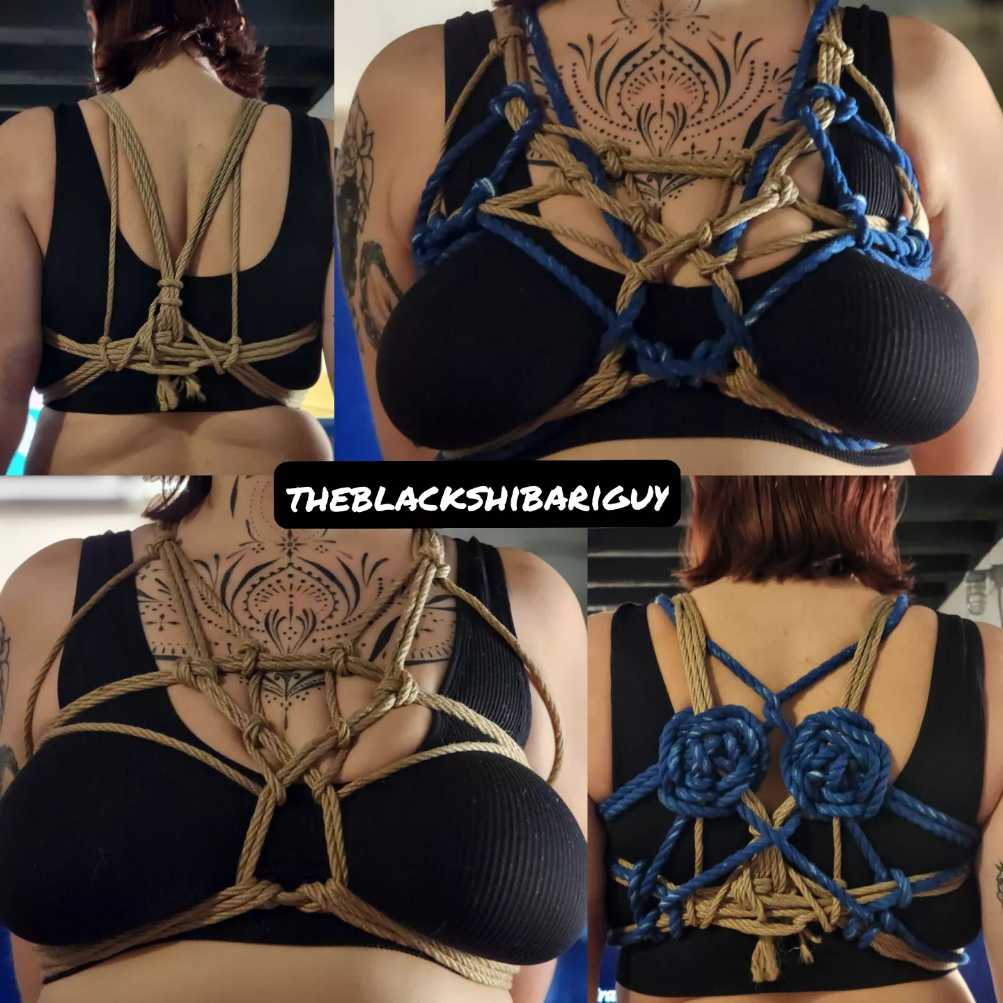 Simple chest harness with a little add on for some colour.