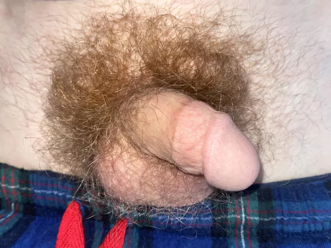 Wanna get cozy with me?