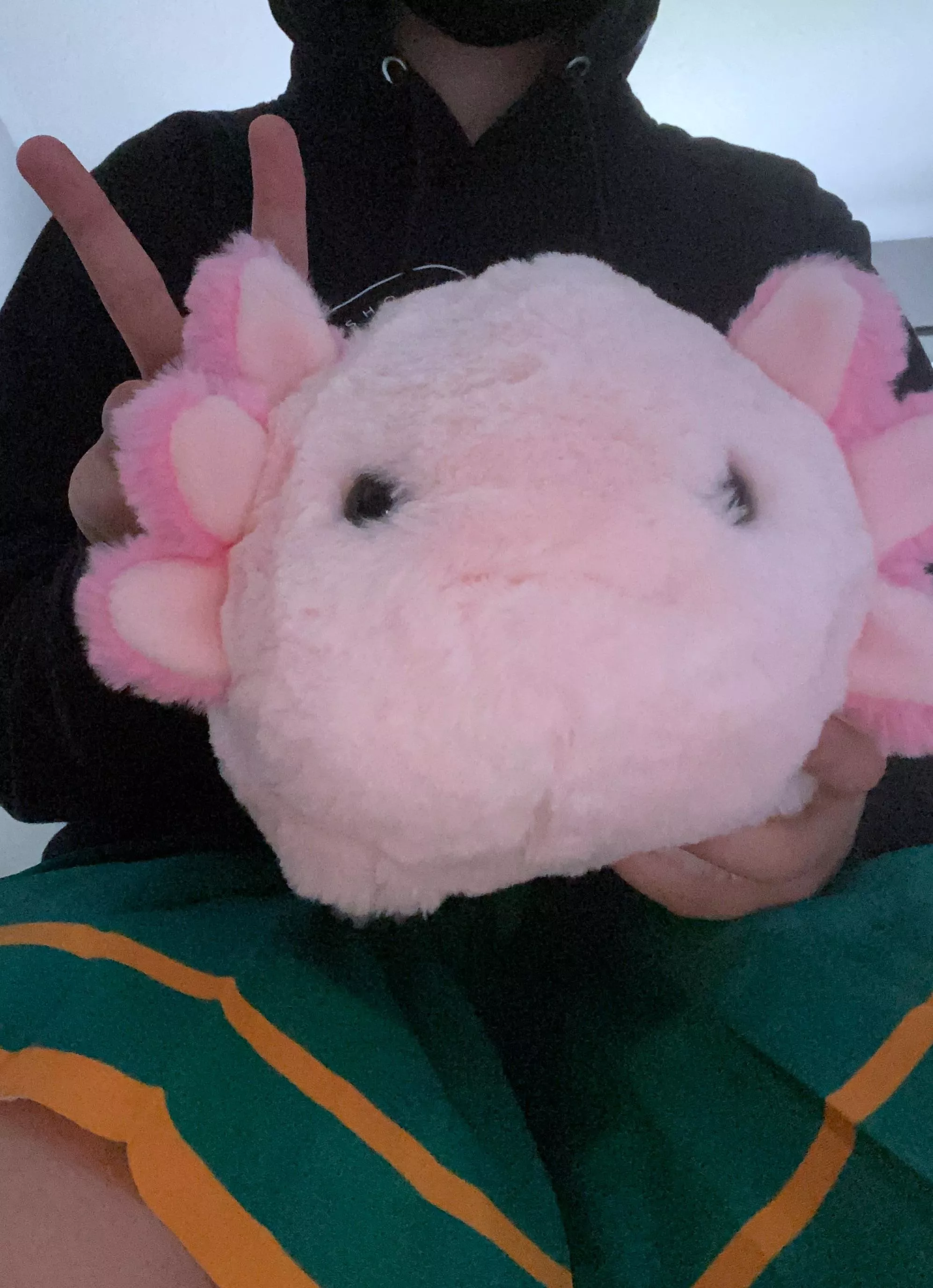 What should I name him? 🩷