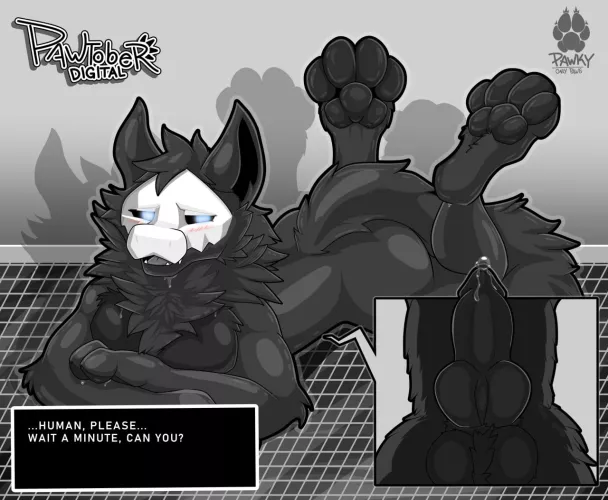 Can you wait a minute? [M] (Pawky)