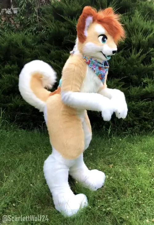 Happy Fursuit Friday! 🐶💕🐾
