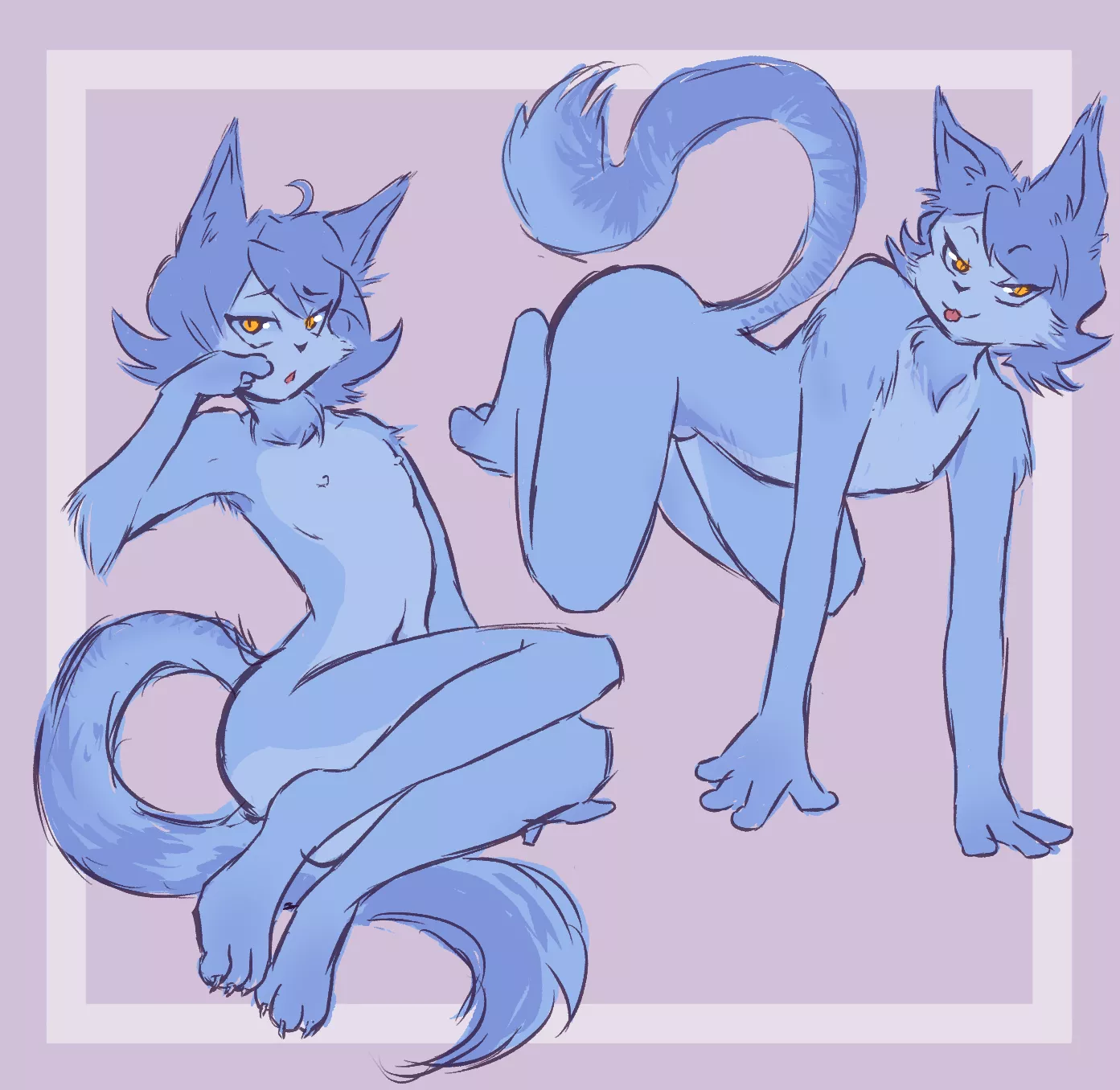 (OC) Kitty Wants to Play😽