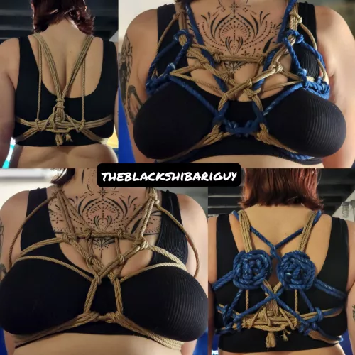 Simple chest harness with a little add on for some colour.