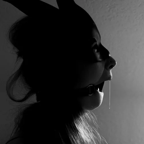 [F] A picture I took in 2020. What do you think ?