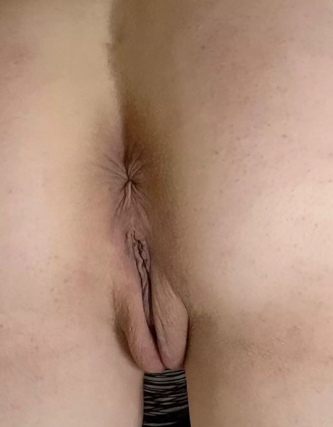 Oldy but goldy - F 44