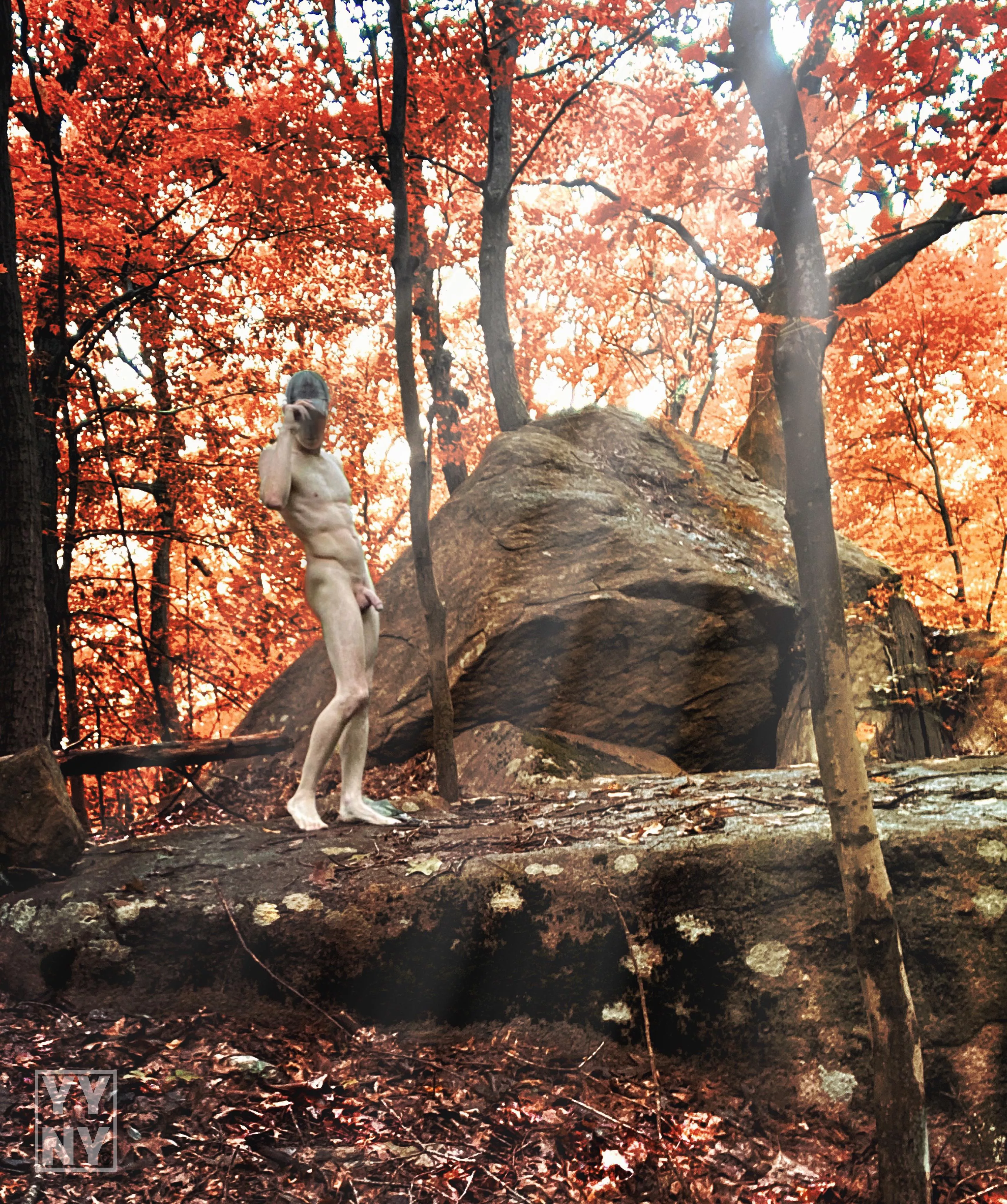 Orange You Glad 🍁