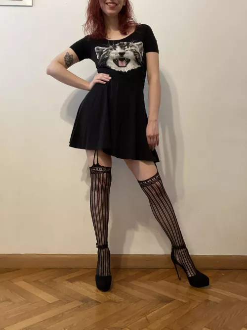 There are two kitties in the pic. One of them really likes being rubbed and kisses hehe (@dellasweets) [onlyfans]