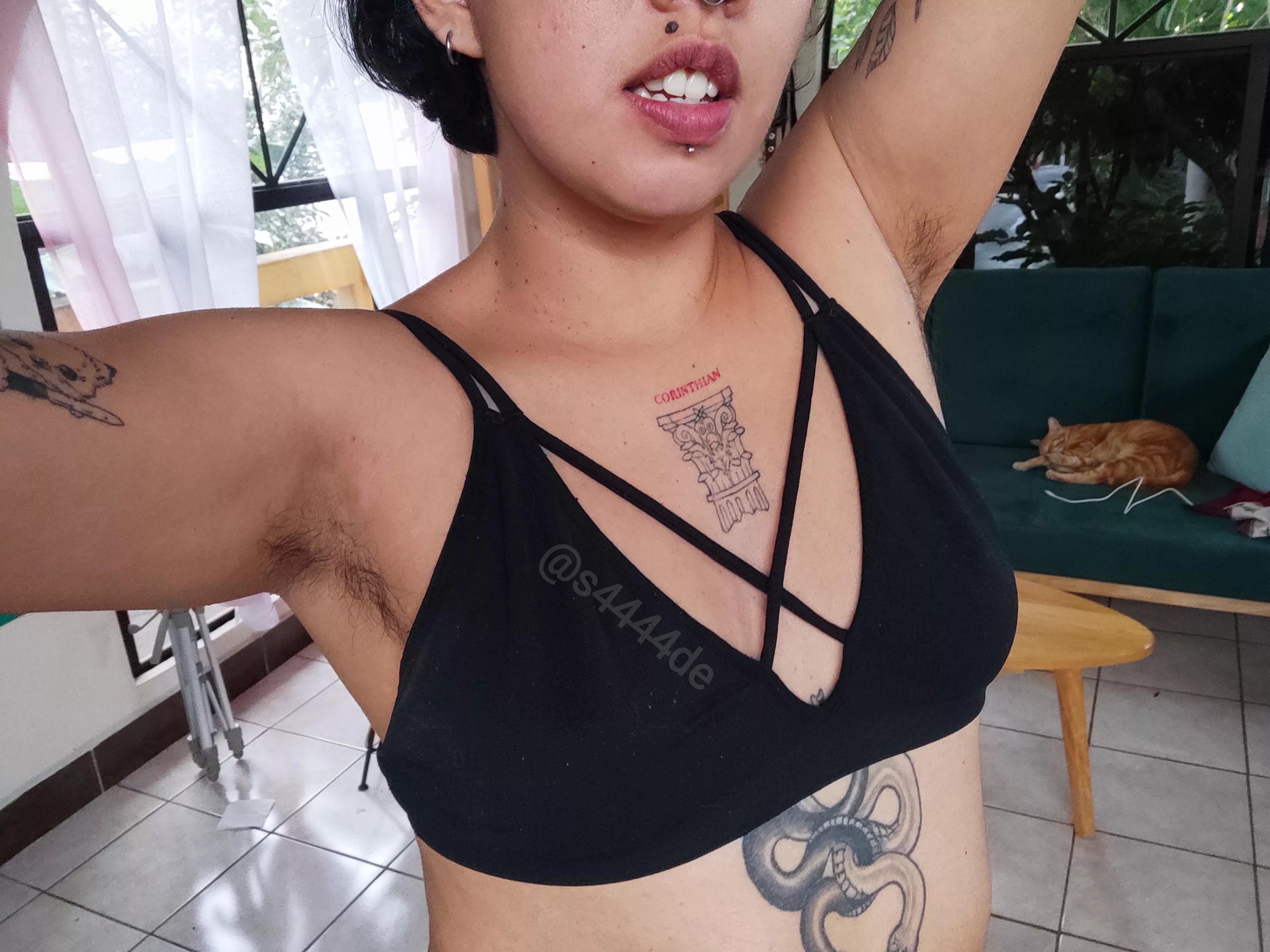 we love fur in this house😹