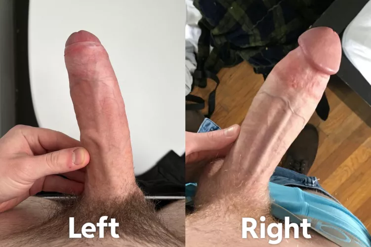 Which cock are you choosing? Left or Right