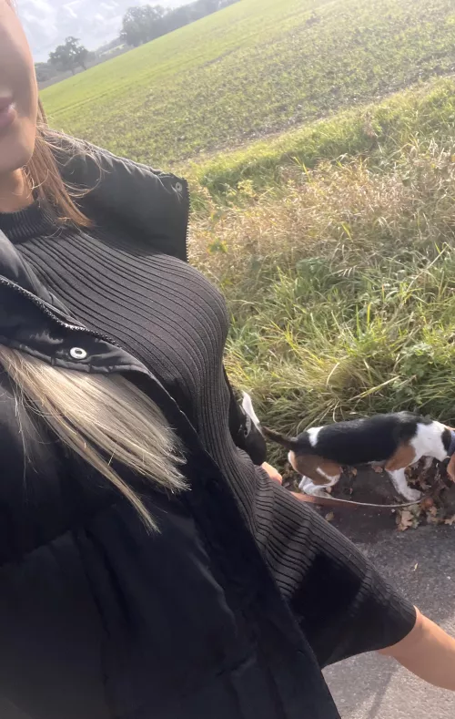 cute beagle & nice views ❤️