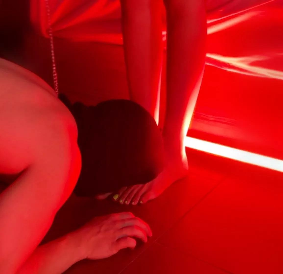 Every dog’s place.