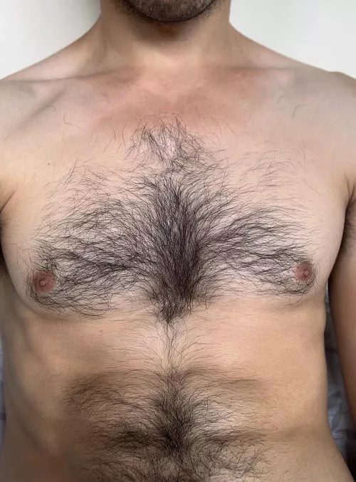 Follow the happy trail