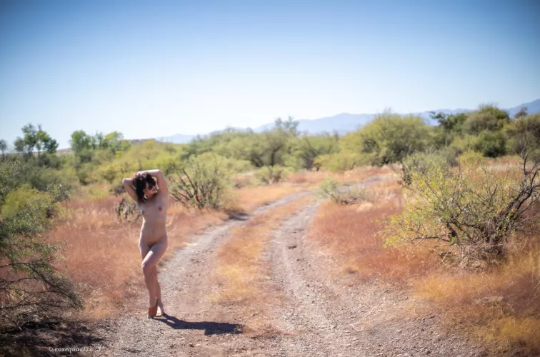 high desert dreamin ✨