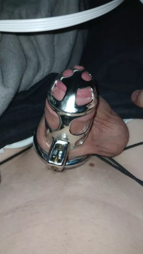 Just realized i lost the keys to my cage~