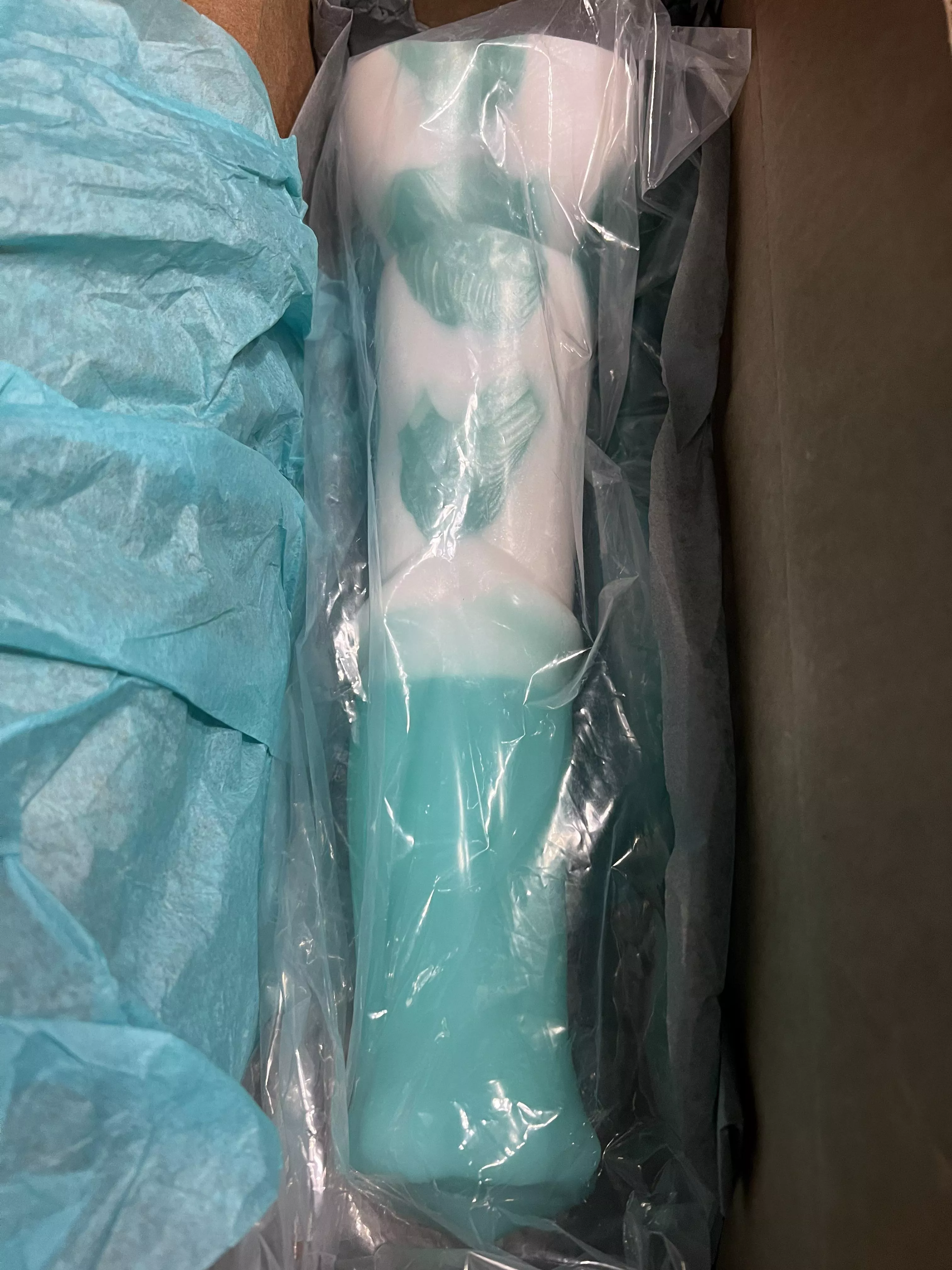 kitalpha xl Sir scored for Kitty