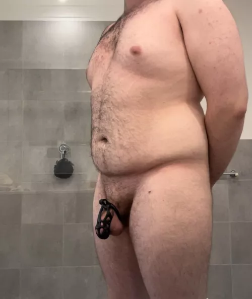 Obedient cubs new cage 🐻