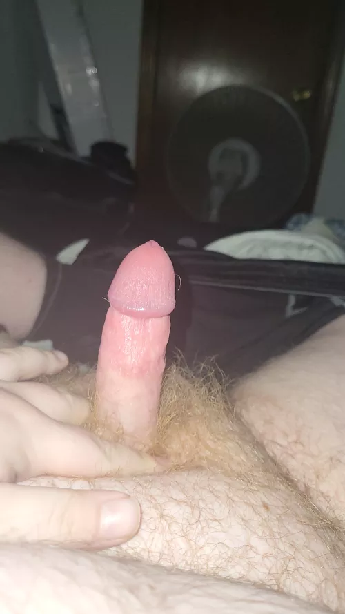 18 who wants to suck my dick dm me 😏