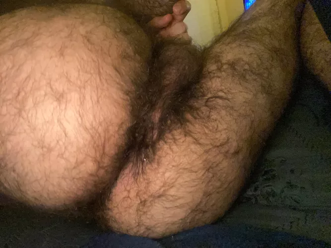 19 hairy ass dm me for kik/telegram :)