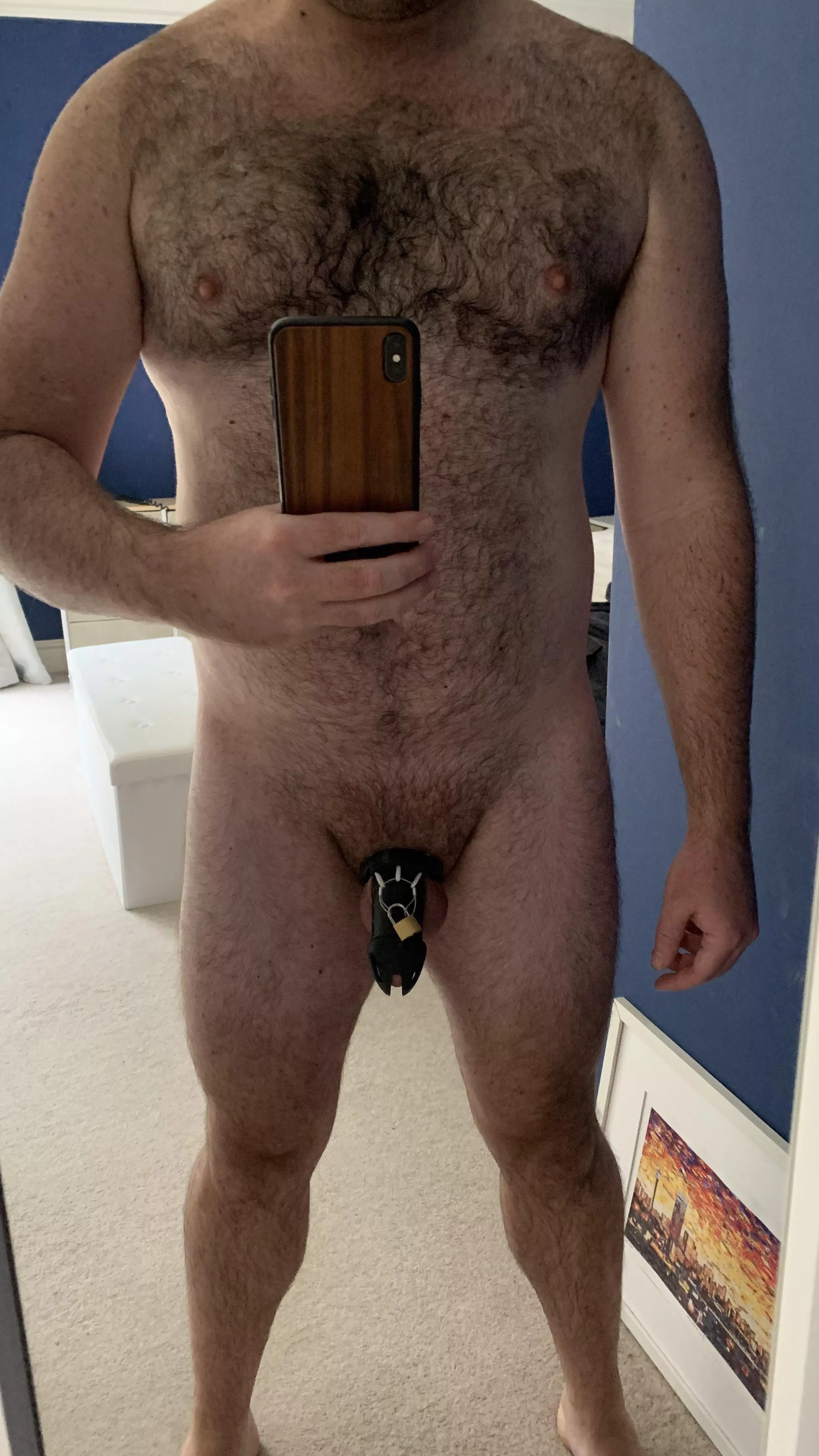 [33] help me become a chaste controlled toy as I slowly give up total control to you