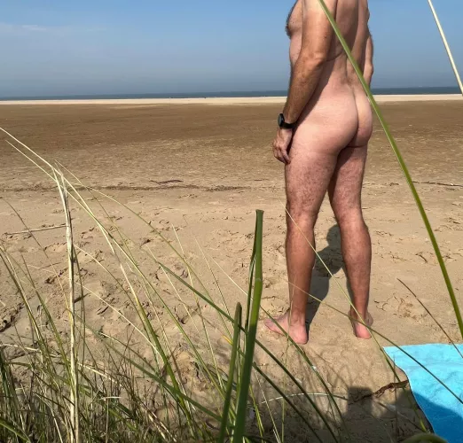 Bring back the summer (U.K.)