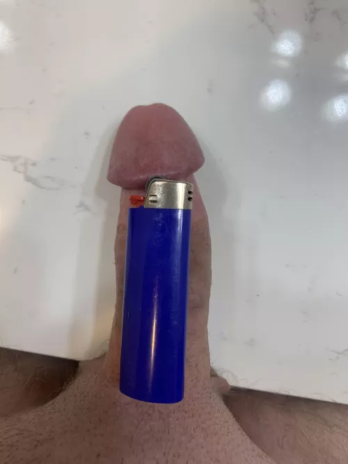 Can you guess how big I am?