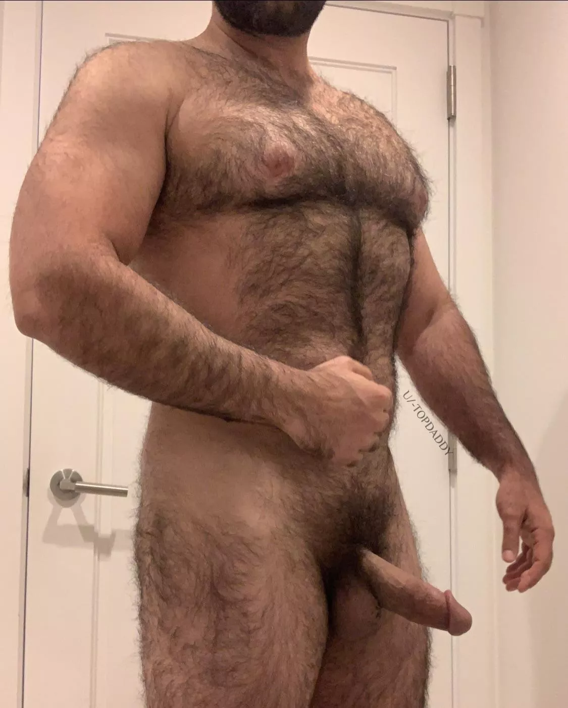CHEST HAIR + FAT COCK = ?