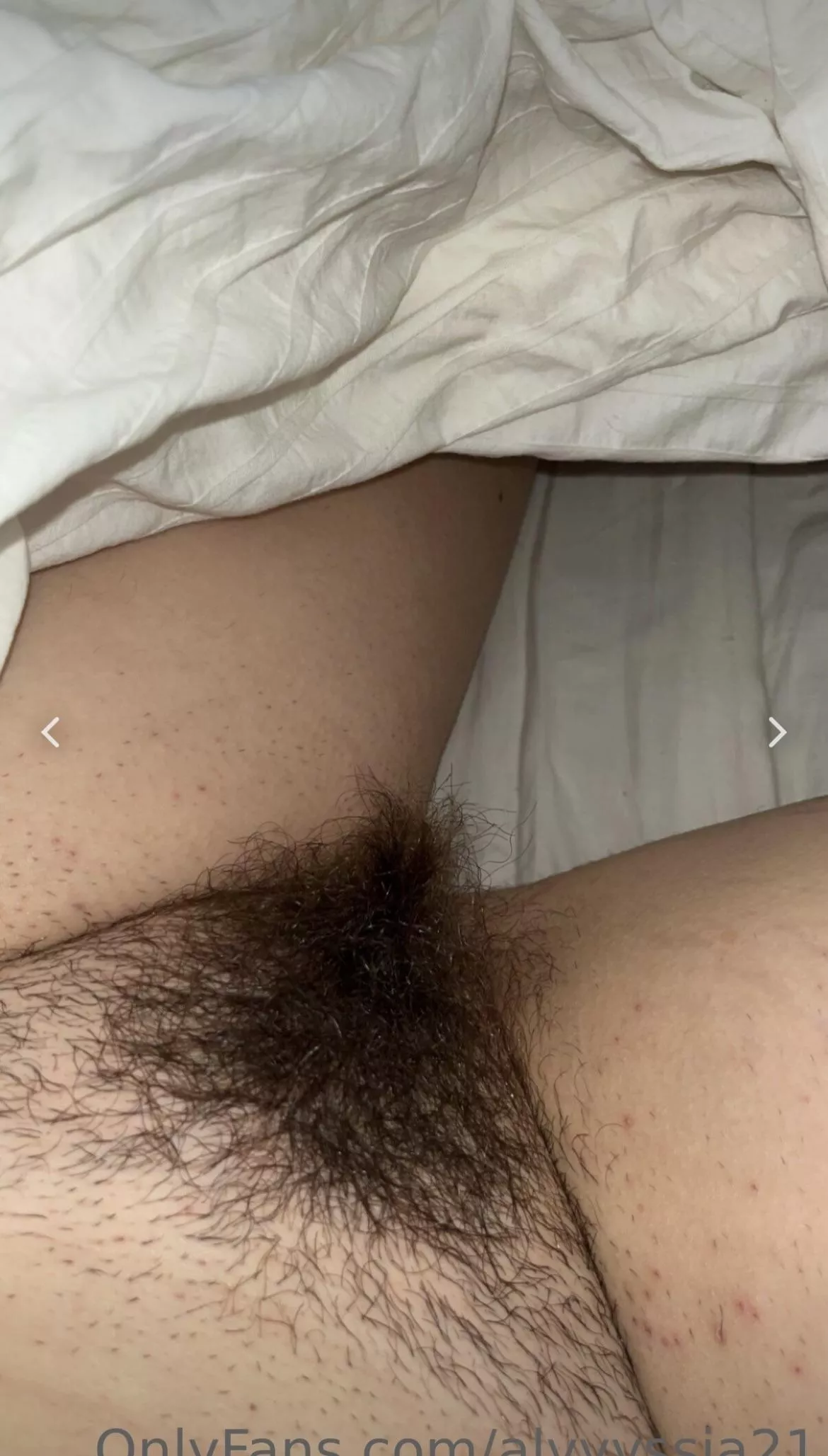 Good morning from Canada