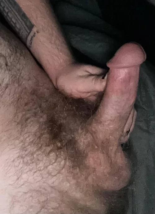 Haven’t shaved in over a year. Bush is starting to get thick