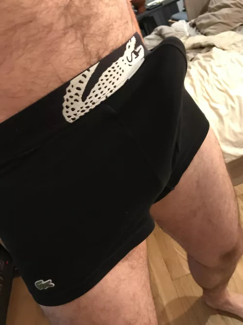 I think it’s about time I let it free