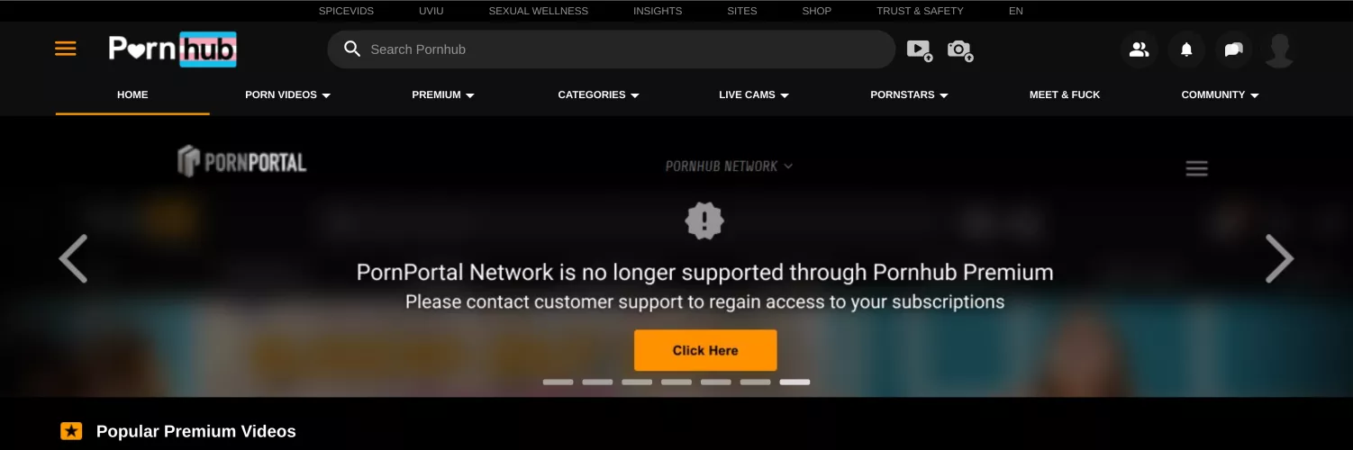 Sidebar: does this mean I no longer have access to Brazzers or Men.com?