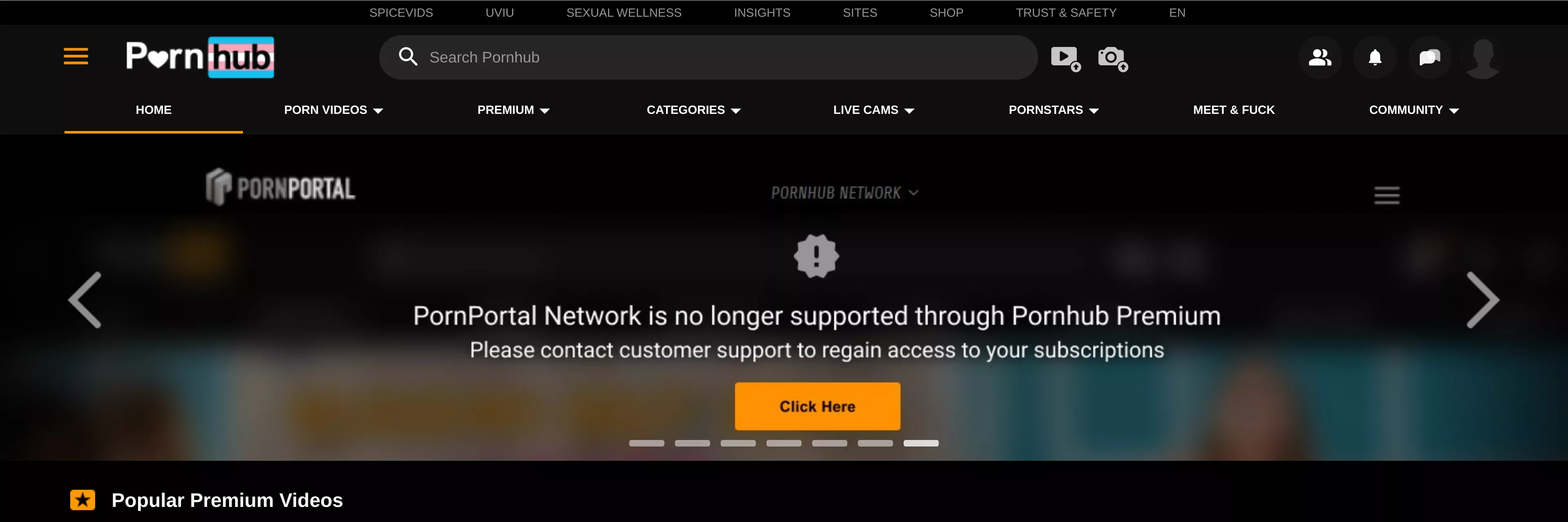 Sidebar: does this mean I no longer have access to Brazzers or Men.com?