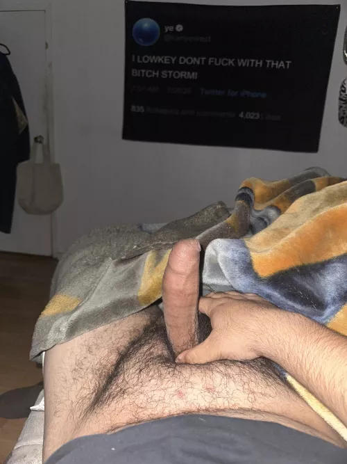 wild daddies are so fun