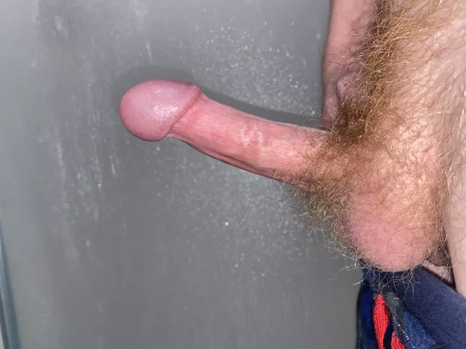 Would you play with this bush