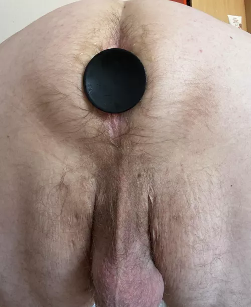 Would you replace my plug with your dick?