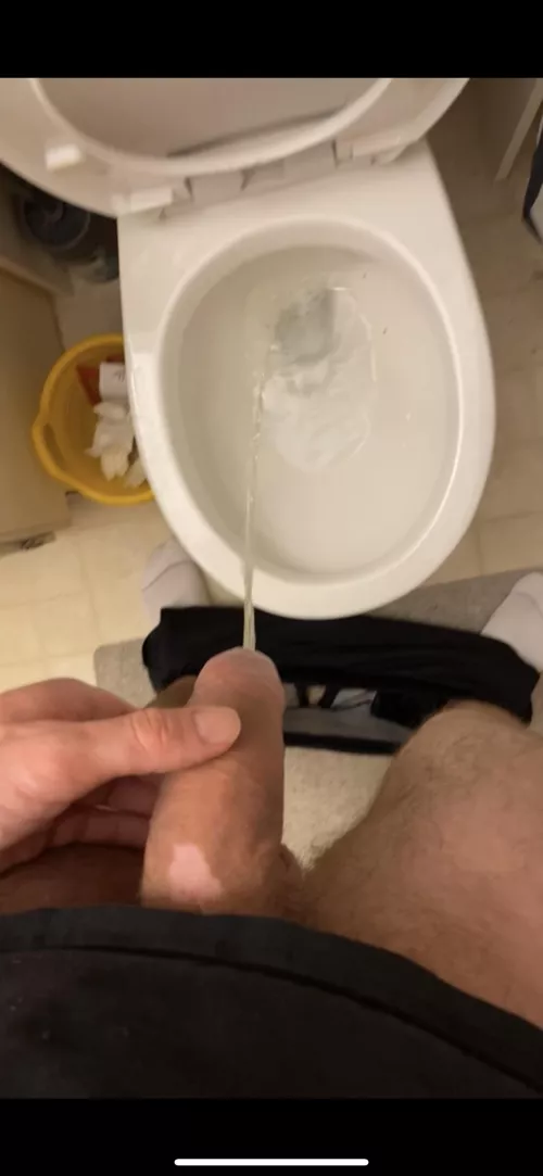 Any pigs need a hose down?