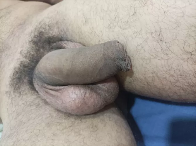 Do you guys think i have a nice softie?