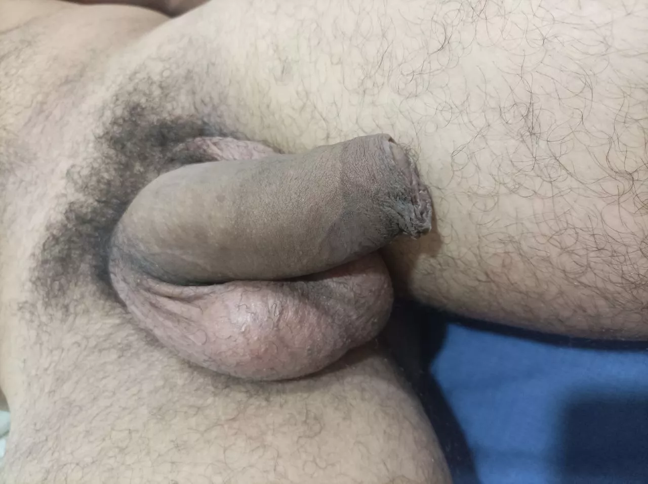 Do you guys think i have a nice softie?