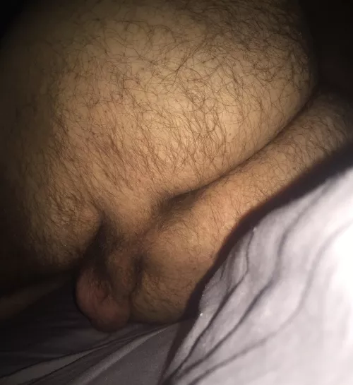 🇬🇧 hairy ass