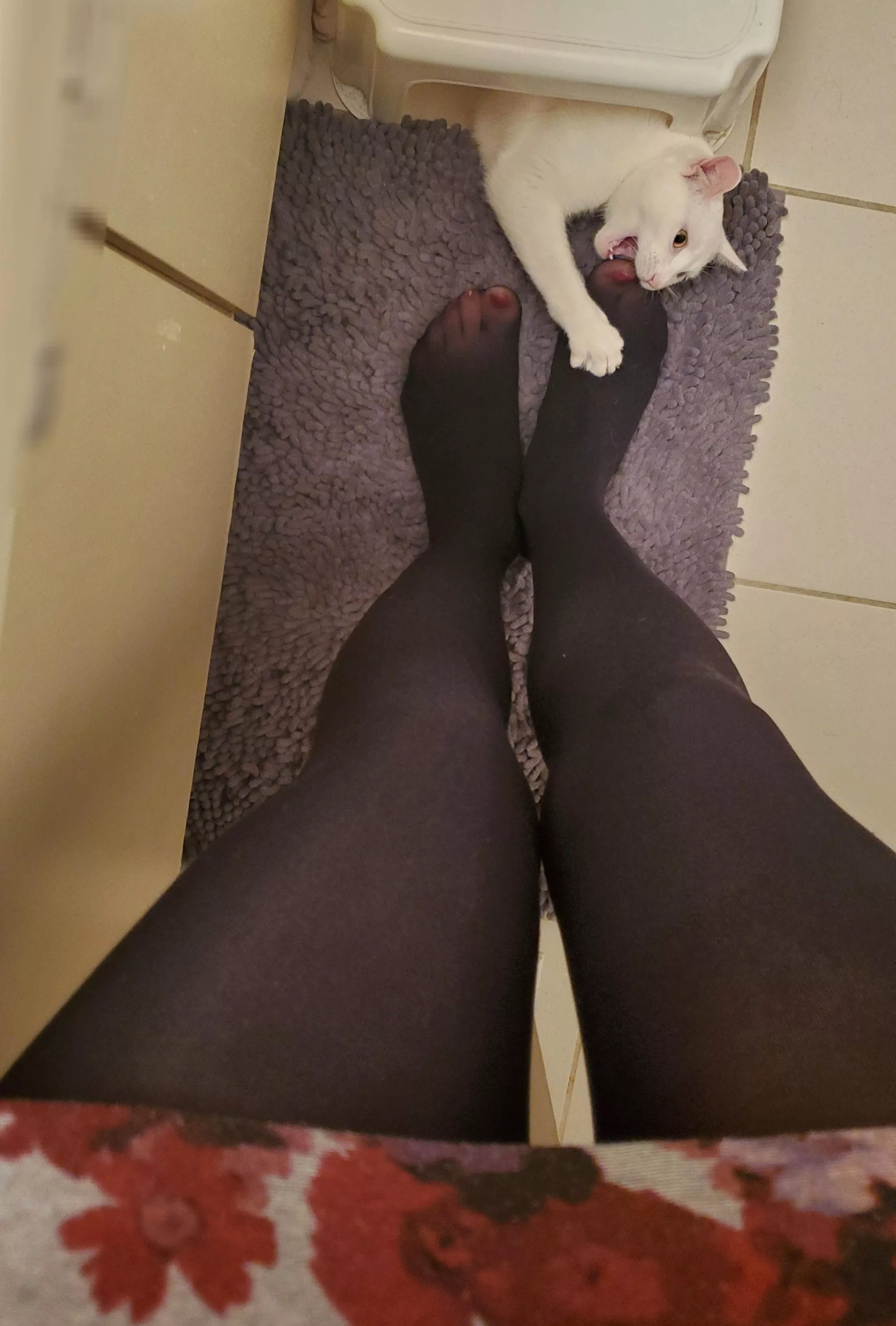 I know you want to be my pet..