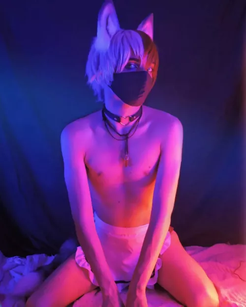 Im adorable todoroki?