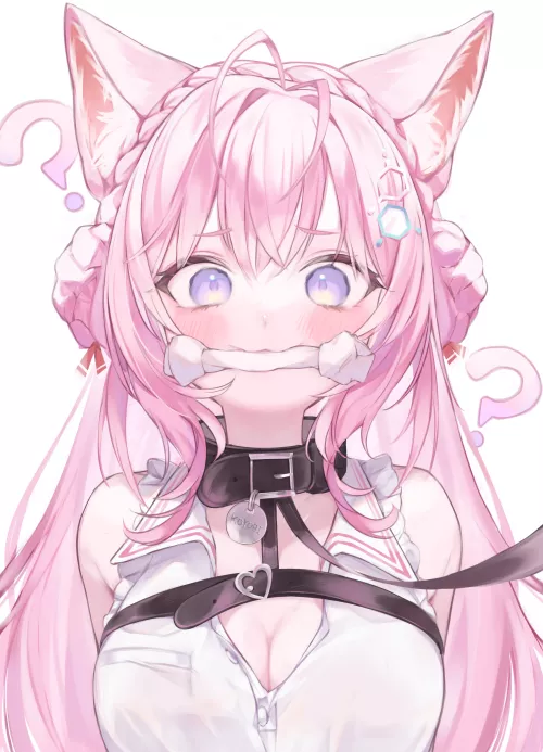 It can take a while for them to get used to a leash (@yumemiruk)