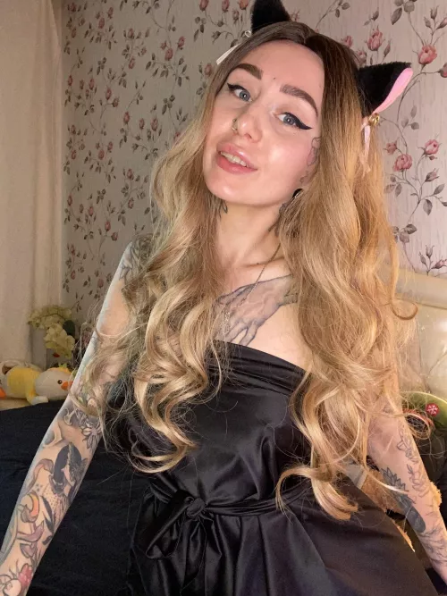 Kitty is waiting for you