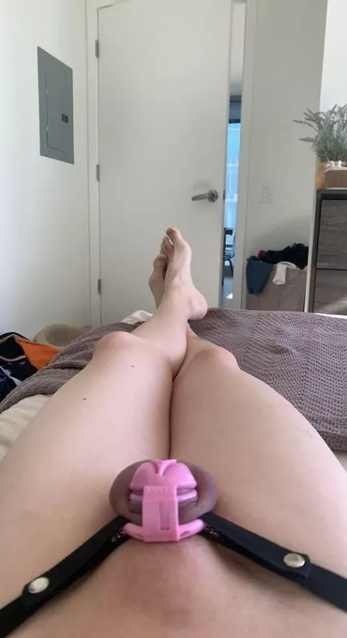 Mommy said I look better in a cage do you agree?