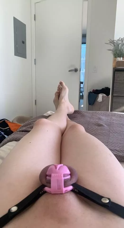 Mommy said I look better in a cage do you agree?