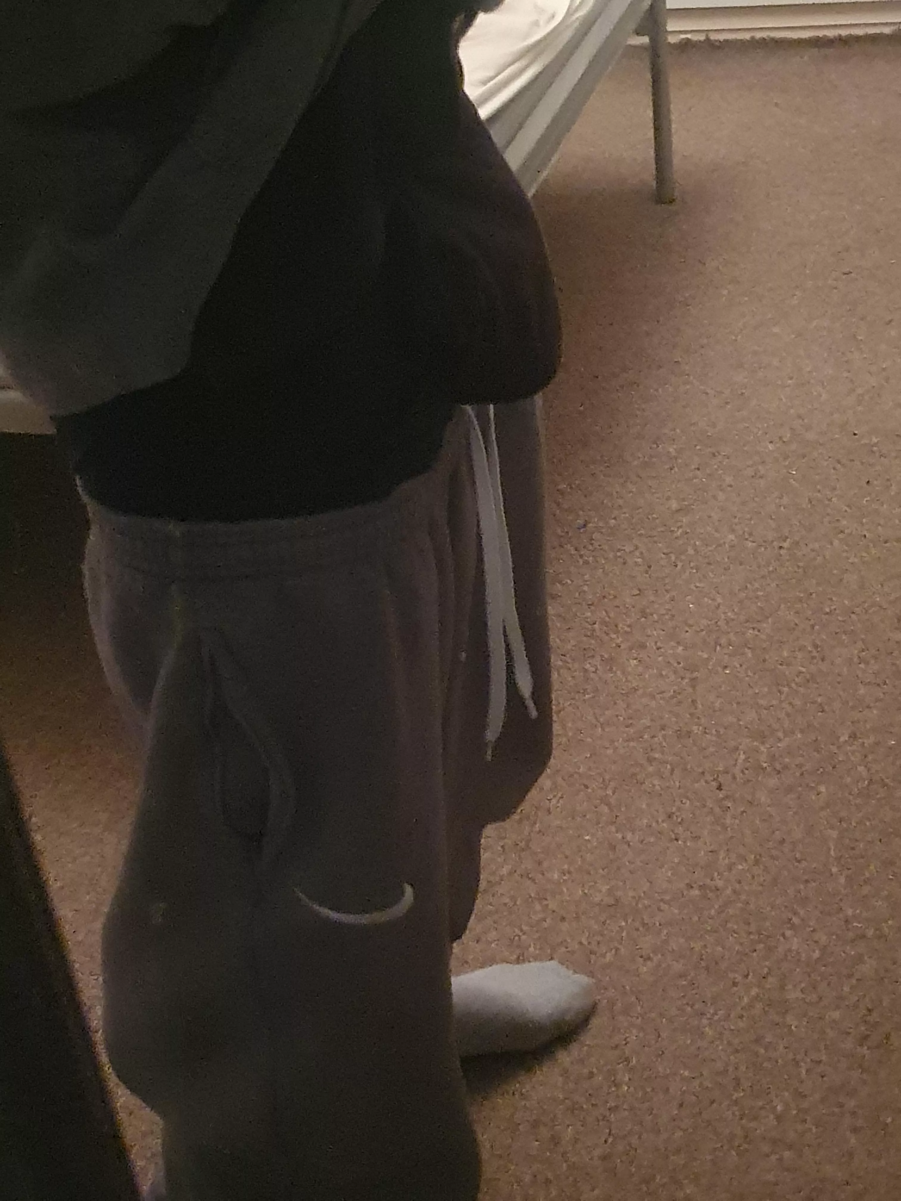 My boxers in my reflection